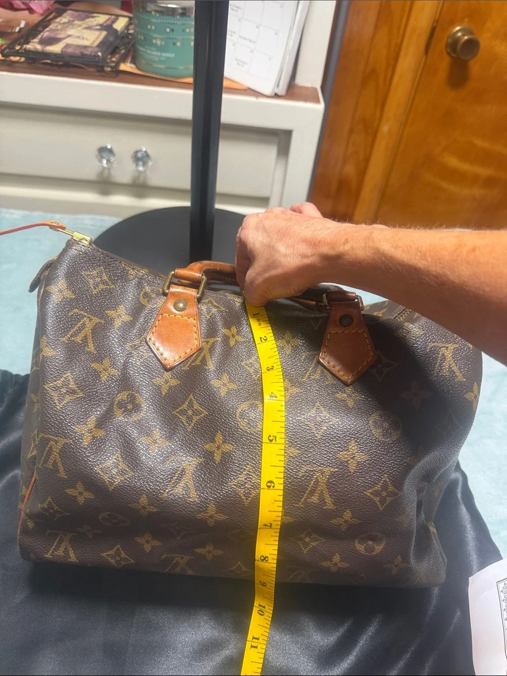 Louis Vuitton authentic louis